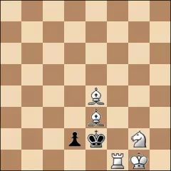 Шахматная задача #132