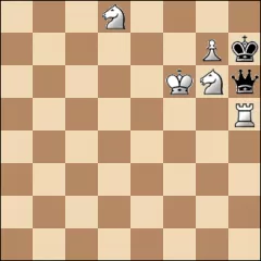 Шахматная задача #15004