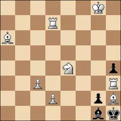 Шахматная задача #16495