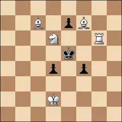 Шахматная задача #16989
