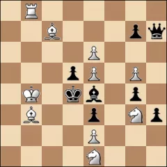 Шахматная задача #17996