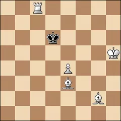 Шахматная задача #19541