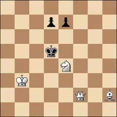 Шахматная задача #19876