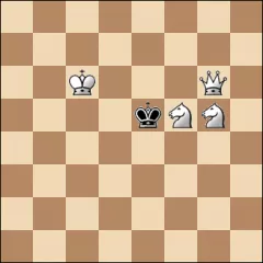Шахматная задача #21996