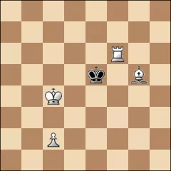 Шахматная задача #22462