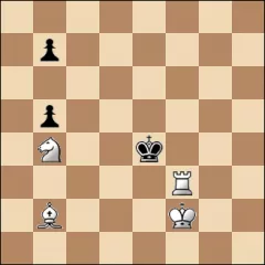 Шахматная задача #22873