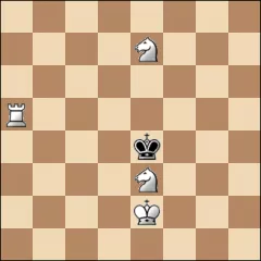 Шахматная задача #23219